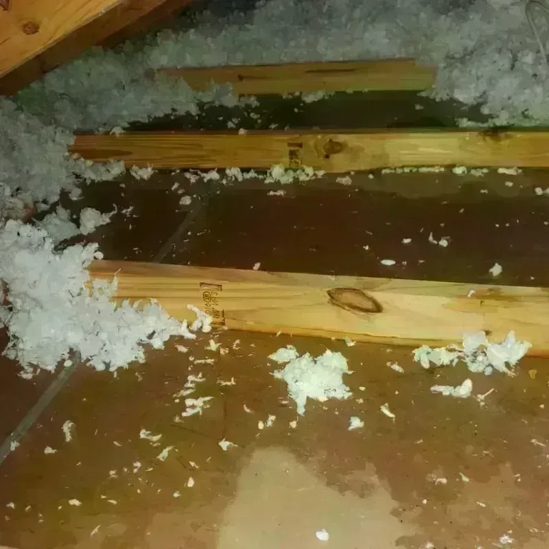 Attic Water Damage in Volcano, HI