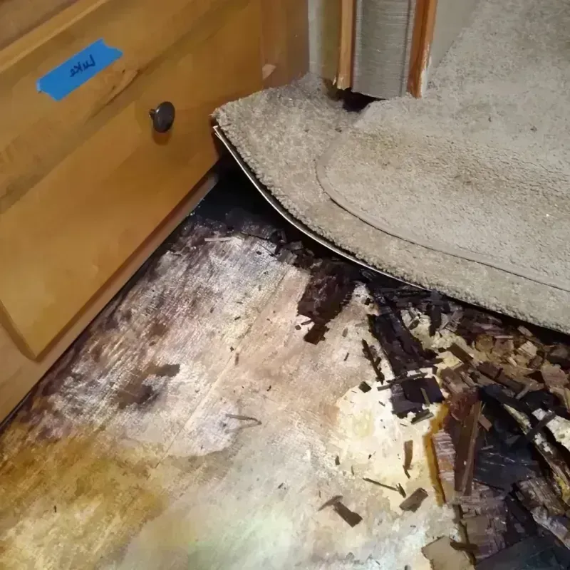 Wood Floor Water Damage in Volcano, HI